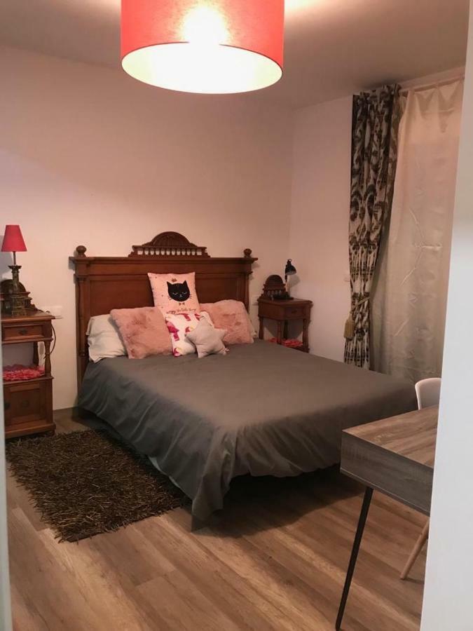 洛格罗尼奥Casa Jardin公寓 外观 照片